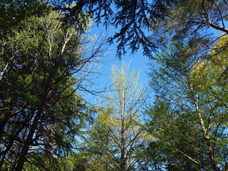 Obraz premium OLYMPUS DIGITAL CAMERA