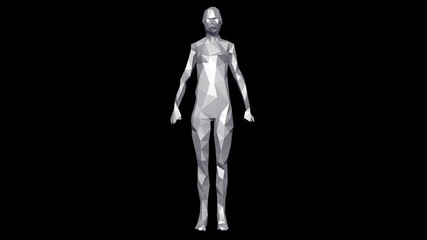 3d female model  low resolution solid surface  object . Polygonal woman standing.   Polygon reduction.  3d rendering illustration .