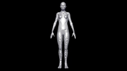 3d female model medium resolution solid surface  object . Polygonal woman standing.   Polygon reduction.  3d rendering illustration .