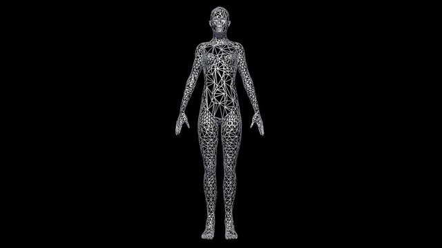 3d female model medium resolution wireframe object . Polygonal woman standing.   Polygon reduction.  3d rendering illustration .