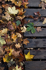Fallen autumn leaves on a wooden path in the park