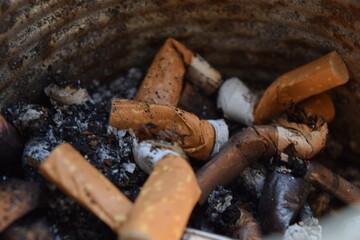 cigarettes in an ashtray