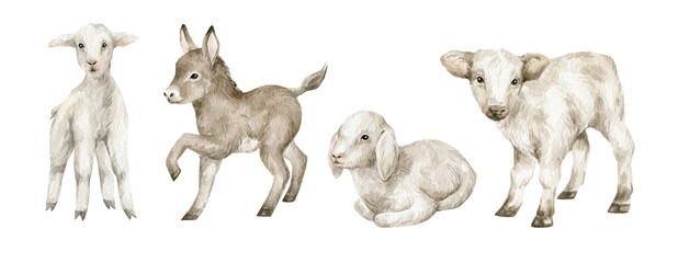 Naklejka premium Watercolor cute farm baby animals. Goat, cow, sheep, donkey. Young domestic animal, easter babies.
