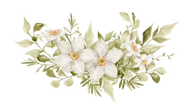 Watercolor bouquet with white narcissus flowers, branches and leaves isolated on white. Aesthetic spring composition, floral arrangements, delicate flowers