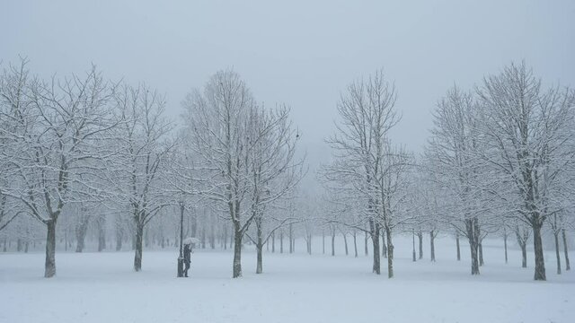 Unrecognizable man walking through the park during blizzard shakes fresh snow off his umbrella. People walk around the wintry park during a whiteout. Severe snowstorm engulf the avenue in snowflakes.