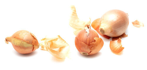 Onion and husk isolated on white background.
