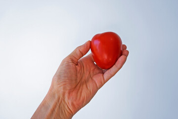 Tomato on hand in a bright background