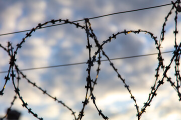 Barbed wire on the fence in the early morning. Background