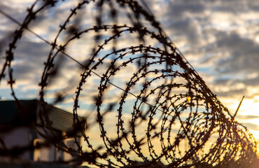 Barbed wire on the fence in the early morning. Background