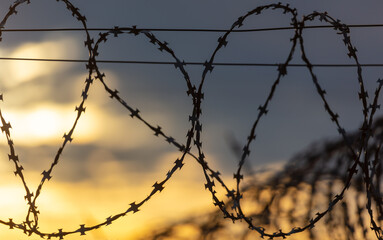 Fototapeta na wymiar Barbed wire on the fence in the early morning. Background