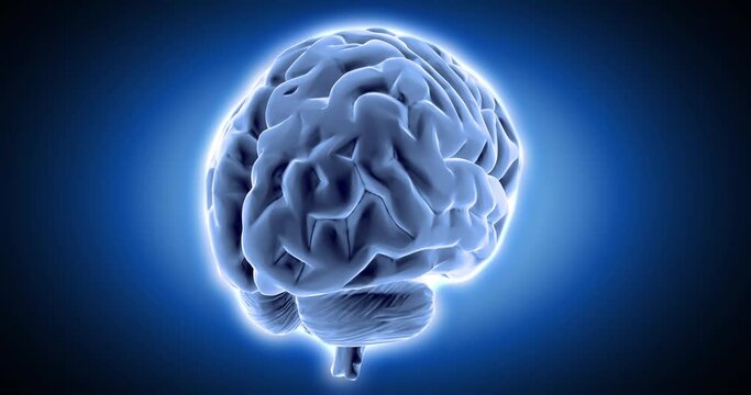 Brain x-ray style, internal organs 3D render, anatomy of the human body, blue background