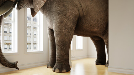 Großer Elefant im Raum als Platzproblem Konzept - obrazy, fototapety, plakaty