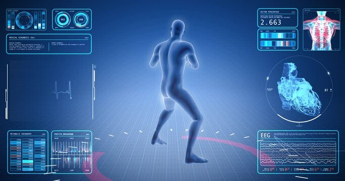 Exercise, blood circulation, pulse, sport, weight lifting, gym, medical screen, human anatomy, computer anatomy, body skeleton, X-ray scan