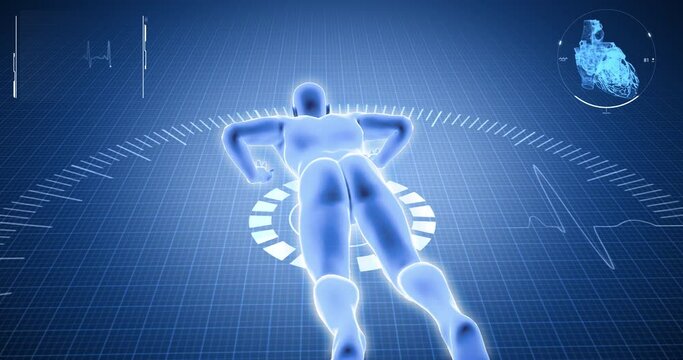 Exercise Plank, blood circulation, pulse, sport, weight lifting, gym, medical screen, human anatomy, computer anatomy, body skeleton, X-ray scan