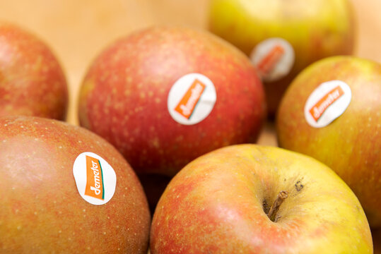 Regensburg, Germany - 01 15 2021: Detail of organic Boskoop apples with Demeter label lying on wooden table