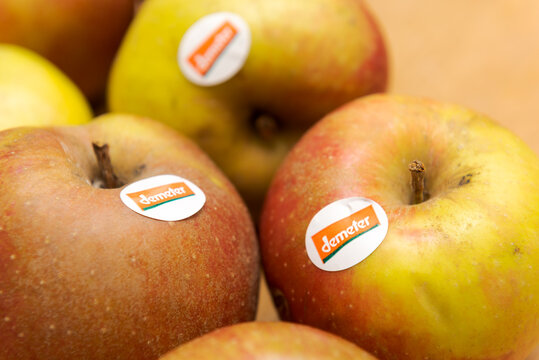 Regensburg, Germany - 01 15 2021: Detail of organic Boskoop apples with Demeter label lying on wooden table