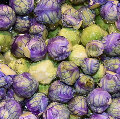 Fototapeta na wymiar Close-up on Brussels sprouts in green and purple colors