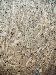 Wooden texture, You can use for your design