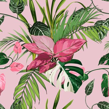 Tropical vintage red Aglaonema modestum Schott palant and many lind of exotic palm leaves floral seamless pattern on black background. Exotic jungle wallpaper.