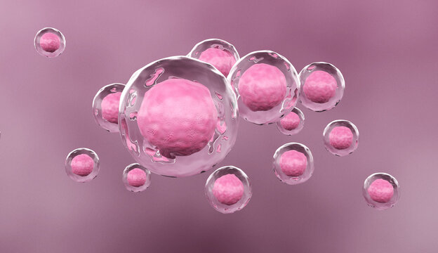 Human Stem Cell Concept, 3D Render