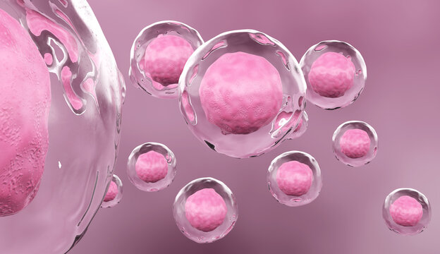 Human Stem Cell Concept, 3D Render