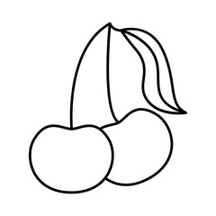 Cherry. Vector illustration, isolated on a white background.