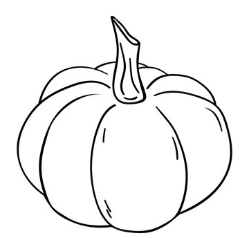 Pumpkin. Hand drawn vector illustration in doodle style, isolated on a white background.
