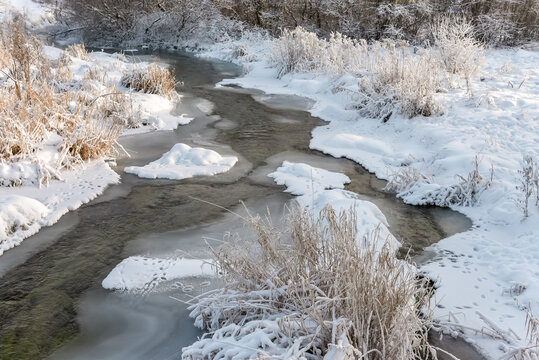 Winter landscape - river and trees in the snow. Cold weather