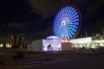 お台場　シンボルプロムナード公園夜景
大観覧車　東京テレポートなど