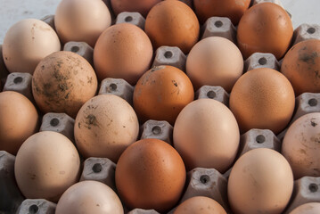 Farm organic eggs arranged in cardboard tray closeup
