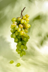 Fresh grapes on a green background with shadows