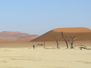 Sossusvlei and deadvlei red dunes in Namibia, Africa