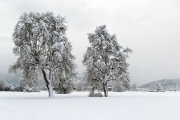 Winterstimmung in Österreich