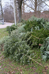 Sammelstelle f&uuml;r ausgediente Weihnachtsb&auml;ume.