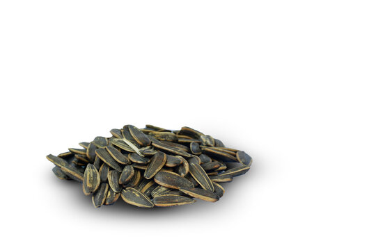 Sunflower seed isolated on white background with clipping path