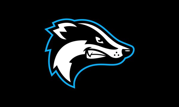Badger sports vector mascot logo design