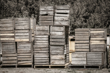 Old shipping crates of produce and fruits at the farm
