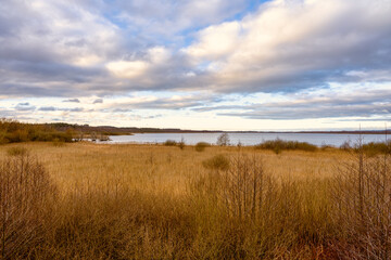 A view of a marsh filled with reeds. A lake in the background. Picture from Lund, southern Sweden