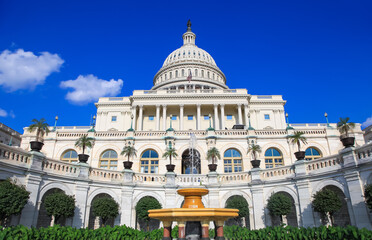 Obraz premium The United states Capitol building in Washington DC. 