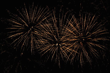 Obraz premium fireworks in the night sky