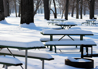 bench in the snow