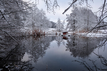 Winterträumereien am Teich 5