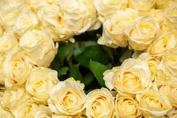 Roses for woman for special occasion