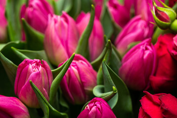 Fresh tulips for woman on special occasion