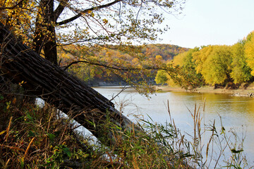 autumn on the river
