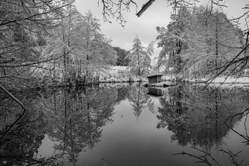 Winterträumereien am Teich 1