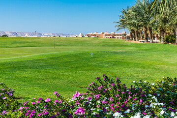 
golf courses in El Gouna, Egypt, all hotels and buildings are located on small islands connected by bridges and canals