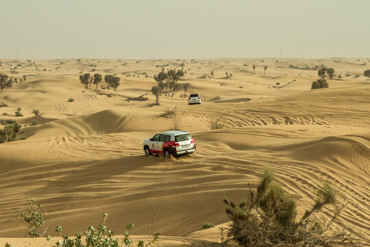 Desert Safari And Dune Bashing