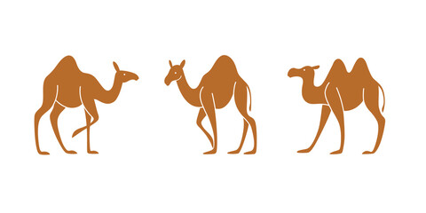 Naklejka premium Cartoon silhouette of camel. Сute animals set of icons.