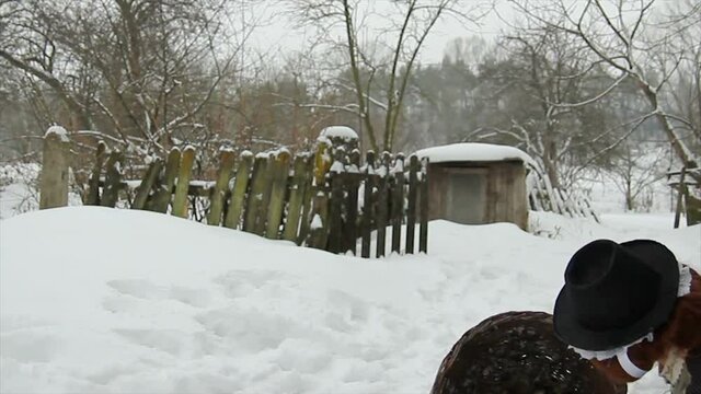 Beautiful girl in ethnic clothes in the yard of an old village house with a rat